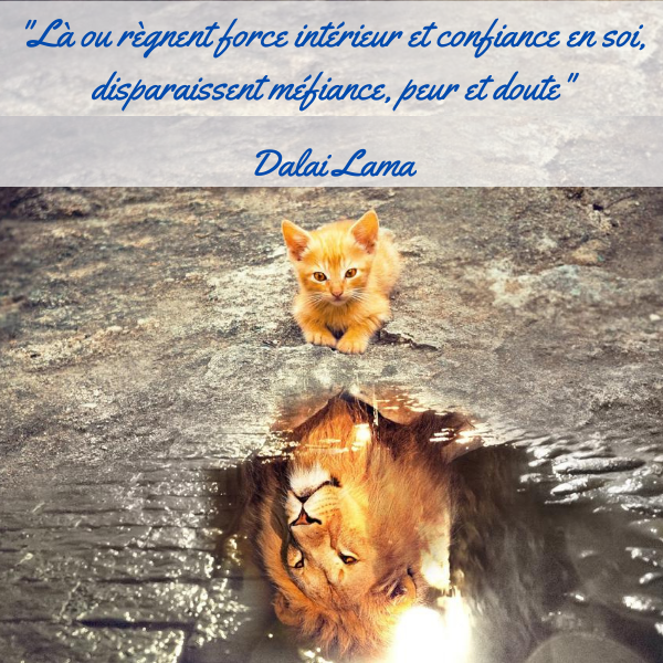 "Là ou règnent force intérieur et confiance en soi, disparaissent méfiance, peur et doute." Dalai Lama