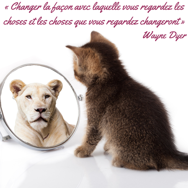 "Changer la façon avec laquelle vous regardez les choses et les choses que vous regardez changeront." Wayne Dyer